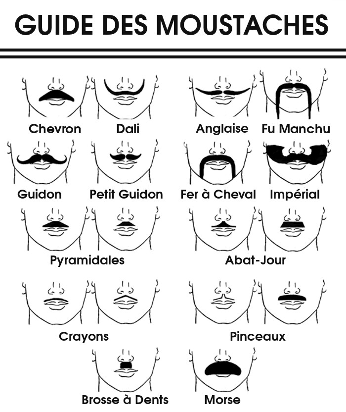 guide-des-moustaches-populaires
